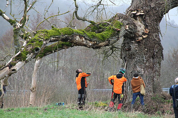 Centre de formation pour apprentis (CFA)